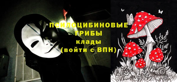 мескалин Магадан