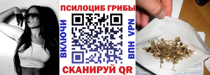 Псилоцибиновые грибы мухоморы  купить наркотик  Тимашёвск 